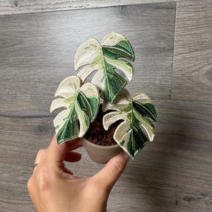 US Seller- Hand Made Monstera Albo Embroidered Brooch Pin