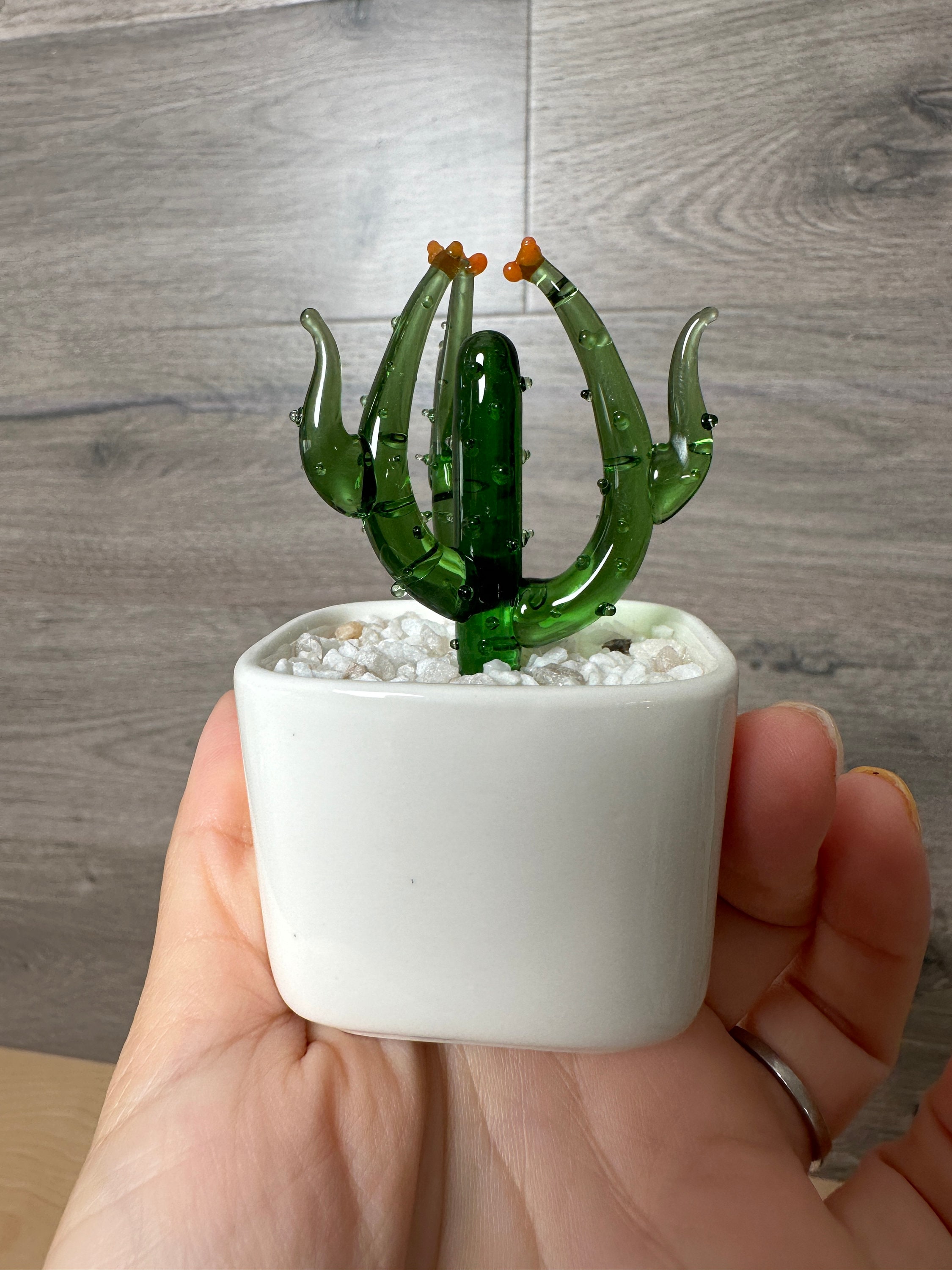 米国の販売者 - 手作りガラス鉢植え植物、多肉植物、人工サボテン