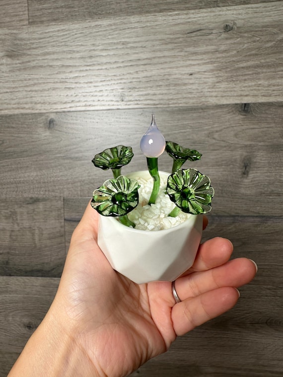 米国の販売者 - 手作りガラス鉢植え植物、多肉植物、人工サボテン