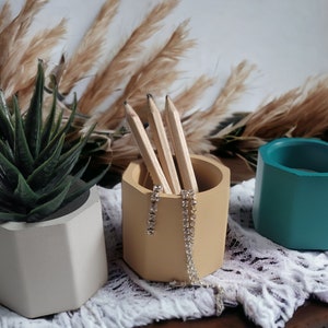 May include: Three small, hexagonal concrete planters in different colors. The planter on the left is light gray and holds a small green succulent. The planter in the middle is light yellow and holds pencils. The planter on the right is teal.