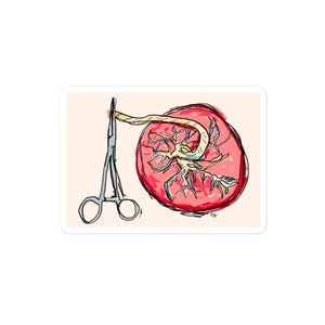 Placenta konstteckning klistermärke