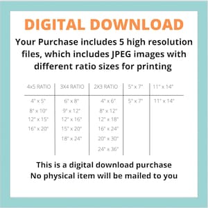 May include: A digital download graphic showing different image sizes for printing. The sizes are listed in inches for 4x5, 3x4, and 2x3 ratios. The text reads "Digital Download. Your purchase includes 5 high resolution files, which includes JPEG images with different ratio sizes for printing. This is a digital download purchase. No physical item will be mailed to you."