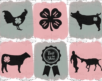4H Club Fair Season PNG: Stock Show Design (Digital Download)
