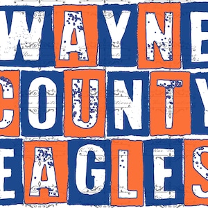 WCHS Eagles Mascot PNG for sublimation and more, Blue and Orange Eagles Digital Download, School Spirit Digital Design, Eagles Digital PNG