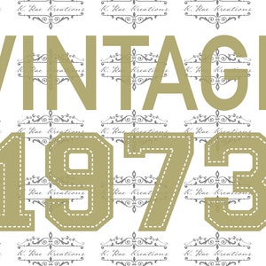 Vintage 1973 Birthday Shirt Design PNG (Digital Download)