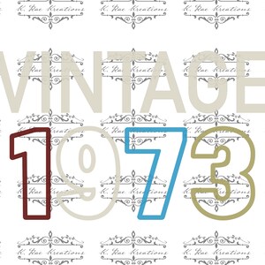 Vintage 1973 50th Birthday Shirt Design (PNG Digital Download)