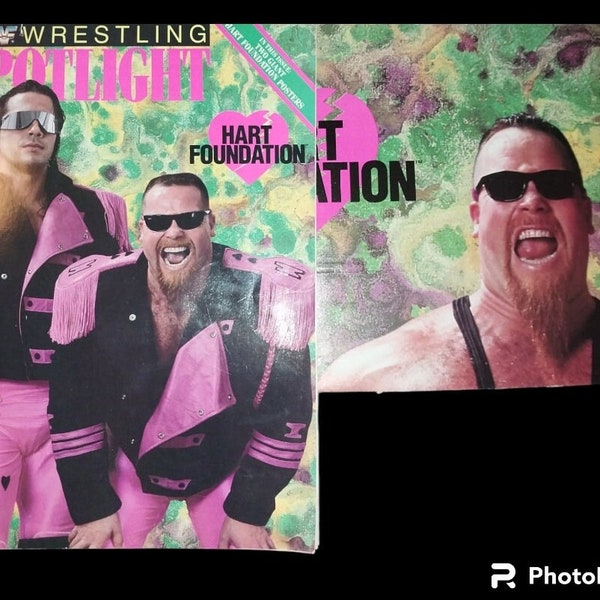 1993 Wwf magazines