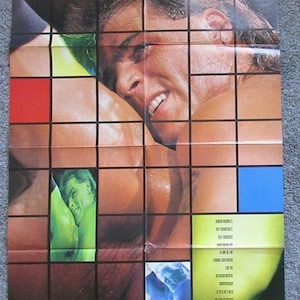 WWF WWE HBK Shawn Michaels Poster