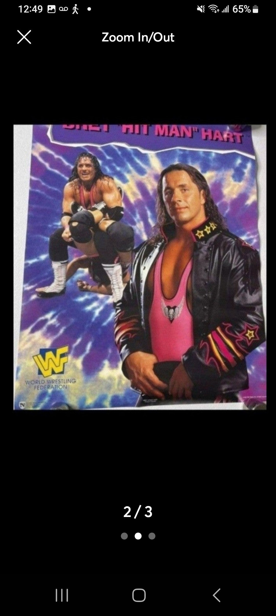 Vintage WWF WWE Poster 16x20 (1997) | Sunny, Shawn Michaels, Bret Hart | Titan Sports