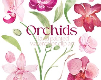 Pink Orchids Watercolor Floral PNG Bundle Illustrations, Instant Download Tropical