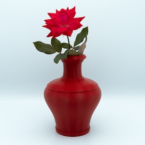Curvy Decorative Vase in Red - By Murphy Decor & Boutique