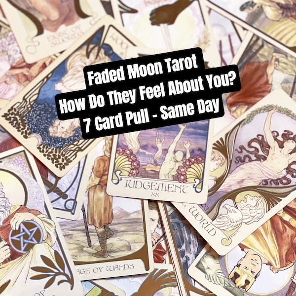 24 Hour - How do they feel about you? - Detailed 7 Card Tarot Card Reading