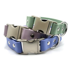 Quick Release BioThane Dog Collar | 1” or 3/4” Width | Waterproof, Durable, Stink-Proof | Custom Colors | Not Adjustable | Handmade in MI