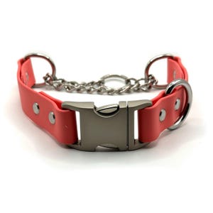 Quick Release Martingale BioThane Dog Collar | 1” or 3/4” Width | Waterproof, Durable, Stink-Proof | Custom Colors | Not Adjustable