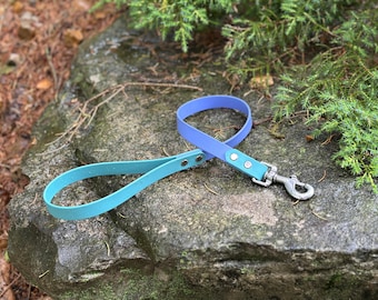 Two-Tone BioThane Dog Leash – Waterproof, Stink-Proof, Easy to Clean | 2ft, 4ft, 6ft | Stainless Steel Hardware