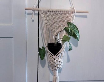 May include: A white macrame plant hanger with a small green plant in a black pot. The hanger is hanging from a wooden dowel rod and a metal hook.