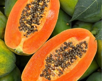 50pcs Red Heart Creamy Papaya Seeds - The Best of Papayas for Your Home Garden - Rich, Sweet, and Nutrient-Packed Fruits