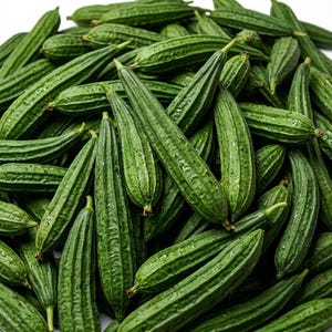 20 Premium Ridged Sponge Gourd Seeds - Angled Luffa Seeds for Home Gardens - Grow Your Own Edible Gourds and Natural Bath Sponges