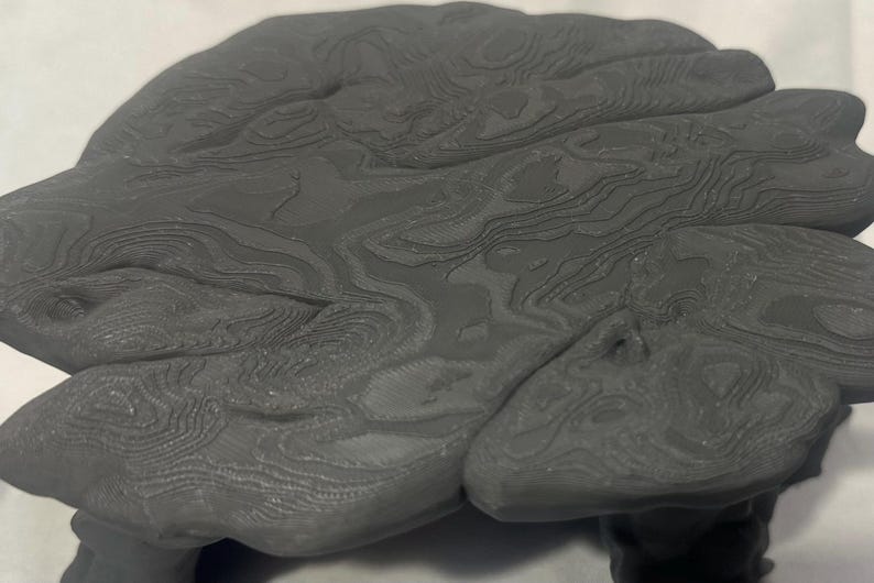 Puede incluir: Un objeto gris oscuro tridimensional que presenta un dise&ntilde;o complejo de mapa topogr&aacute;fico en capas. La superficie est&aacute; cubierta de intrincadas l&iacute;neas de contorno conc&eacute;ntricas que crean una apariencia texturizada en relieve en toda la parte superior.
