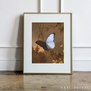 Blue Black Morpho Butterfly Vintage Print Spring Insect Country Garden Dark Moody Botanical Oil Painting Digital PRINTABLE Wall Art image 2