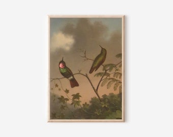 impression animale d&#39;oiseaux de colibri vintage | Jardin de campagne antique et sombre | Peinture à l&#39;huile de décor à la maison | Art mural imprimable numérique