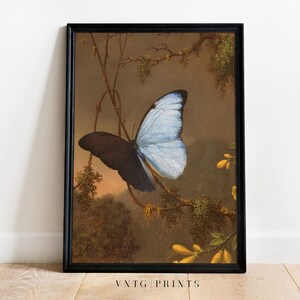 Blue Black Morpho Butterfly Vintage Print Spring Insect Country Garden Dark Moody Botanical Oil Painting Digital PRINTABLE Wall Art image 5