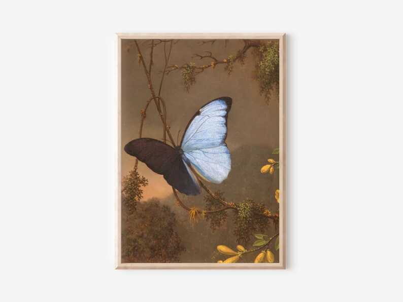 Blue Black Morpho Butterfly Vintage Print Spring Insect Country Garden Dark Moody Botanical Oil Painting Digital PRINTABLE Wall Art image 1