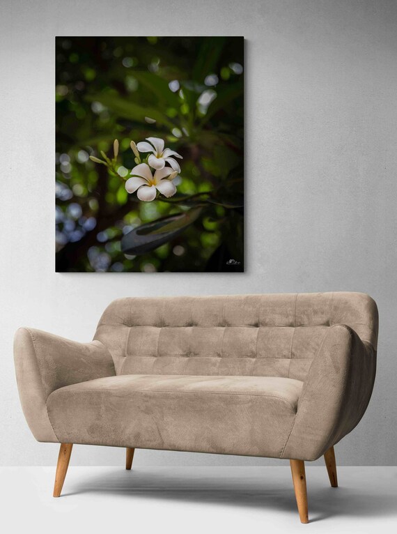 FLORAL WALL ART white Flower Wall Art Nature Photography Etsy