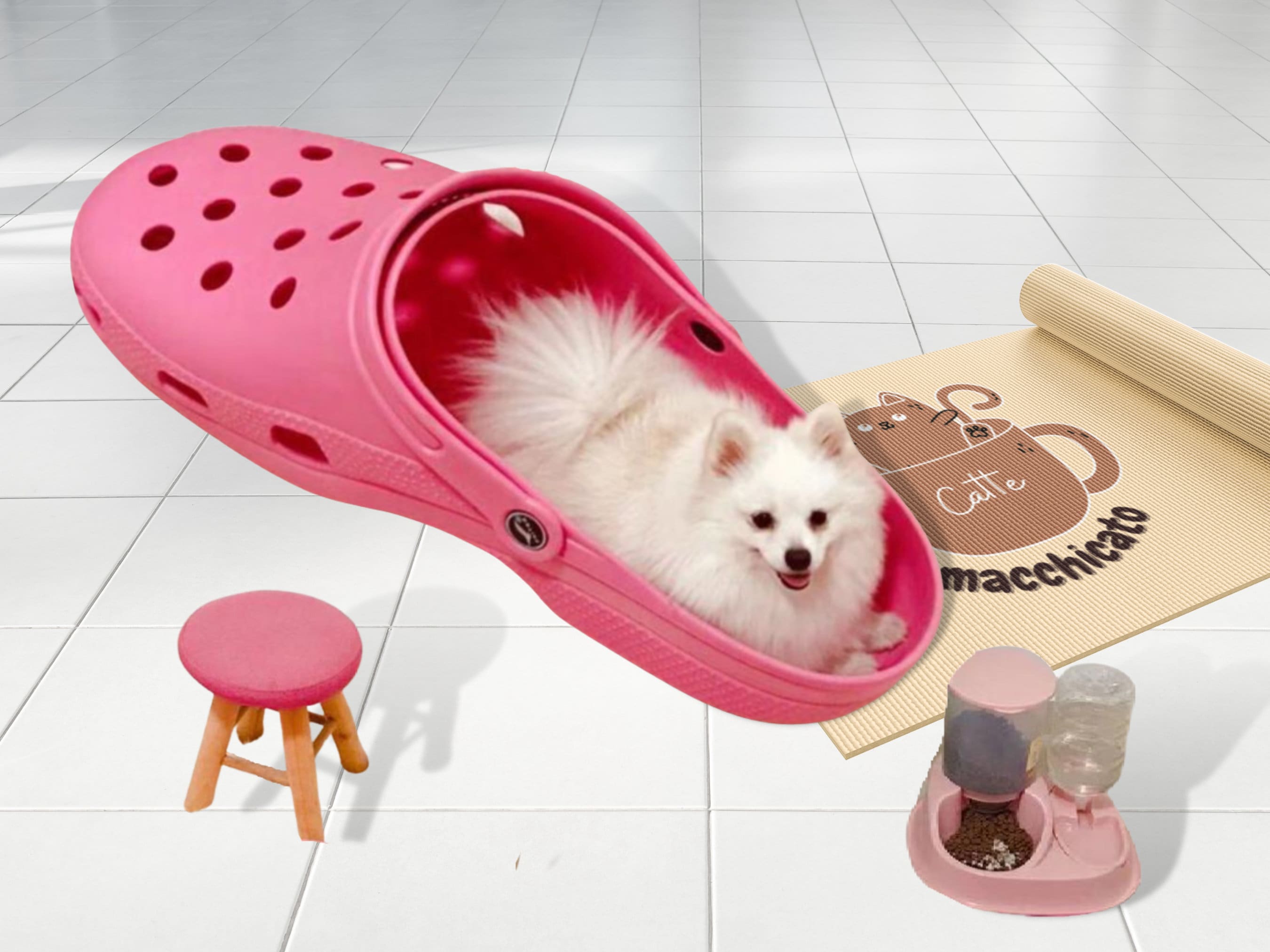 Giant Croc Shoe Pet Bed | Pet Furniture | One Meter Long Shoe | Luxury Dog  Shoes | Gift For Mom | Best Dog Beds | Catte Macchicato