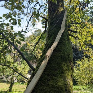 Traditional Selfbow/Flatbow 70&quot; - Leather handle - Practice shooting/Display/Hunting