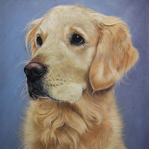 Puede incluir: Retrato detallado de un perro Golden Retriever, con pelaje dorado claro y ojos oscuros. La pintura resalta la suave textura del pelaje del perro sobre un fondo azul apagado. La expresión del perro es suave, con un enfoque en su rostro.