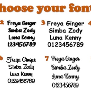 May include: Image showcasing eight font options labeled 1 through 8. Each option displays the text "Freya Ginger," "Simba Zody," "Luna Kenny," and a set of numbers. The text "Choose your font" is at the top in orange.