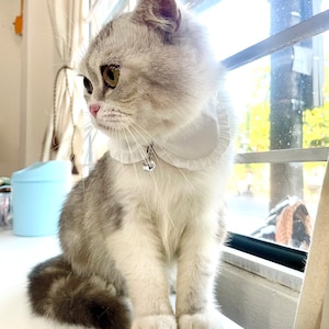White Cat Collar, Shirt cat collar, Checked cat collar, Styled cat collar, Unique cat collar, Cat gifts, Gift for cat lovers