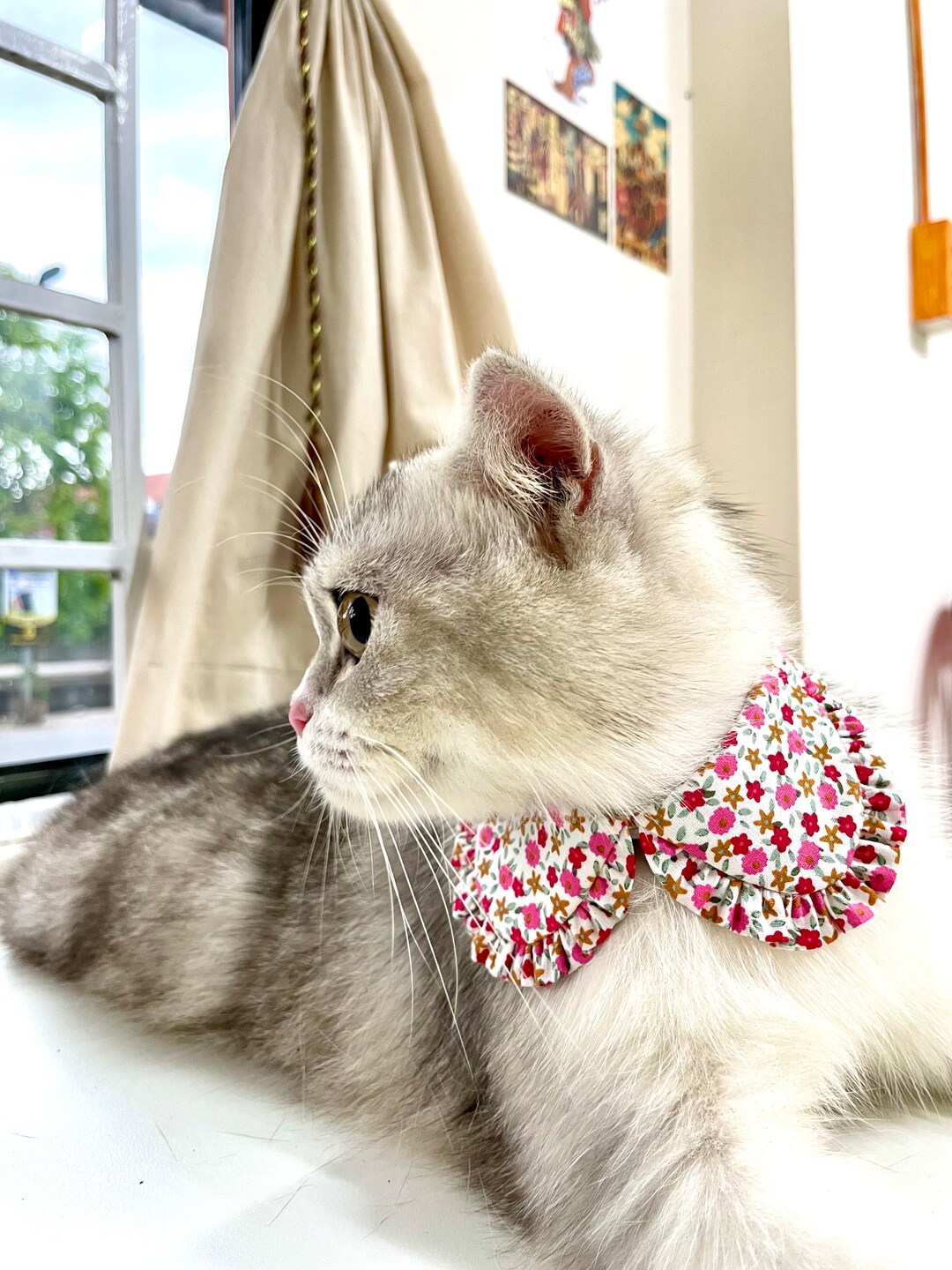 Cat Collar Shirt Cat Collar Floral Cat Collar Tiny Flowers Etsy