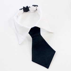 Cool Cat Collar | Plain White Shirt Cat Collar with Neck Tie for Wedding | Styled Safety Collar with Bell | Unique Gift for Cat Lovers