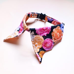 Halloween kattenhalsband, kattenhalsband griezelig seizoen, kattenhalsband in schedelstijl, unieke kattenhalsband, veiligheidsgesp