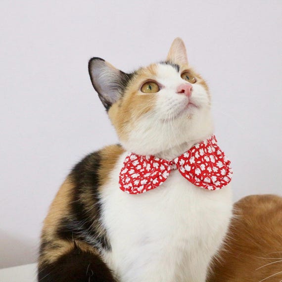 Pet Collars Cat Collar Top Cat Collar, Red Ruffle Shirt Collar For