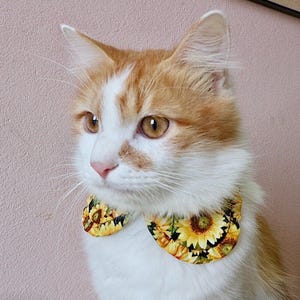 Cute Yellow Floral Shirt Style Cat Collar with Sunflowers and Breakaway Buckle | Unique Handmade Pet Accessory and Gift for Cat Lovers