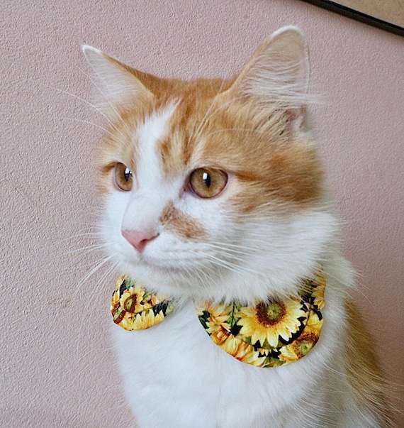 Cute Yellow Floral Shirt Style Cat Collar With Sunflowers and