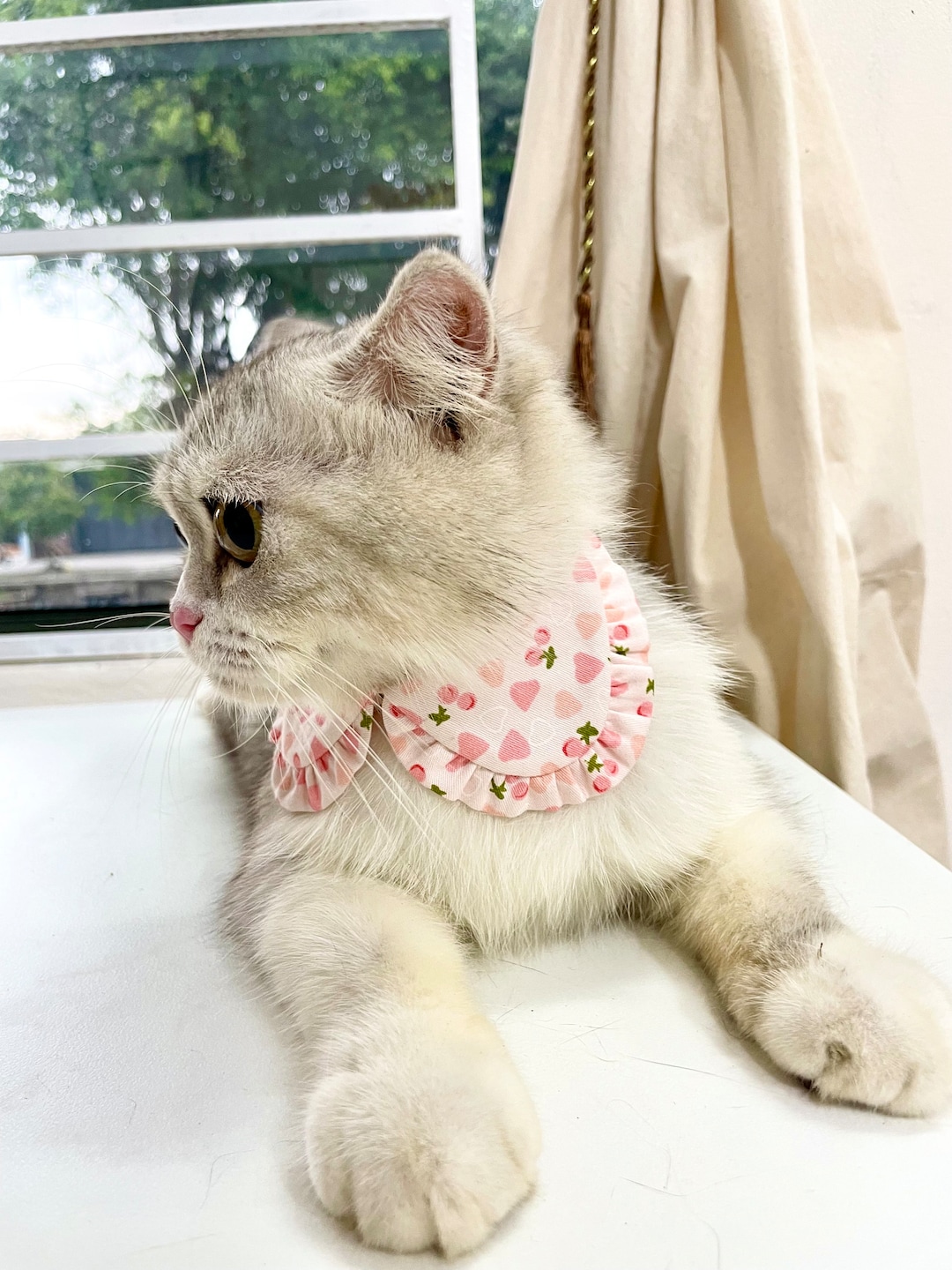 Cat Collar, Shirt Cat Collar, Cherry Cat Collar, Styled Cat Collar