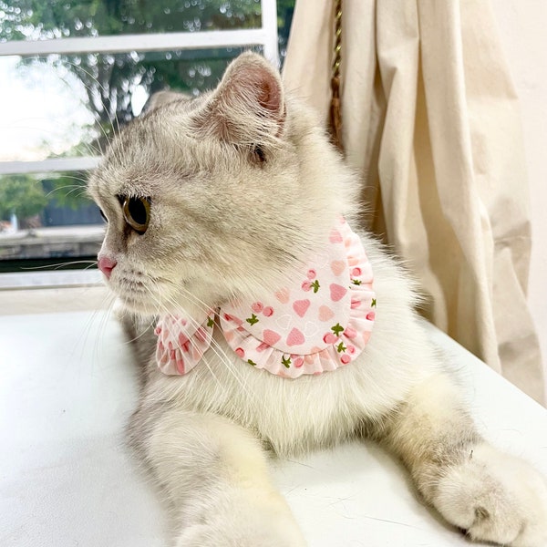 Collier de chat, chemise de collier de chat, collier de chat cerise, collier de chat de style, collier de chat unique, collier de sécurité avec cloche, cadeaux chat, cadeau pour chat