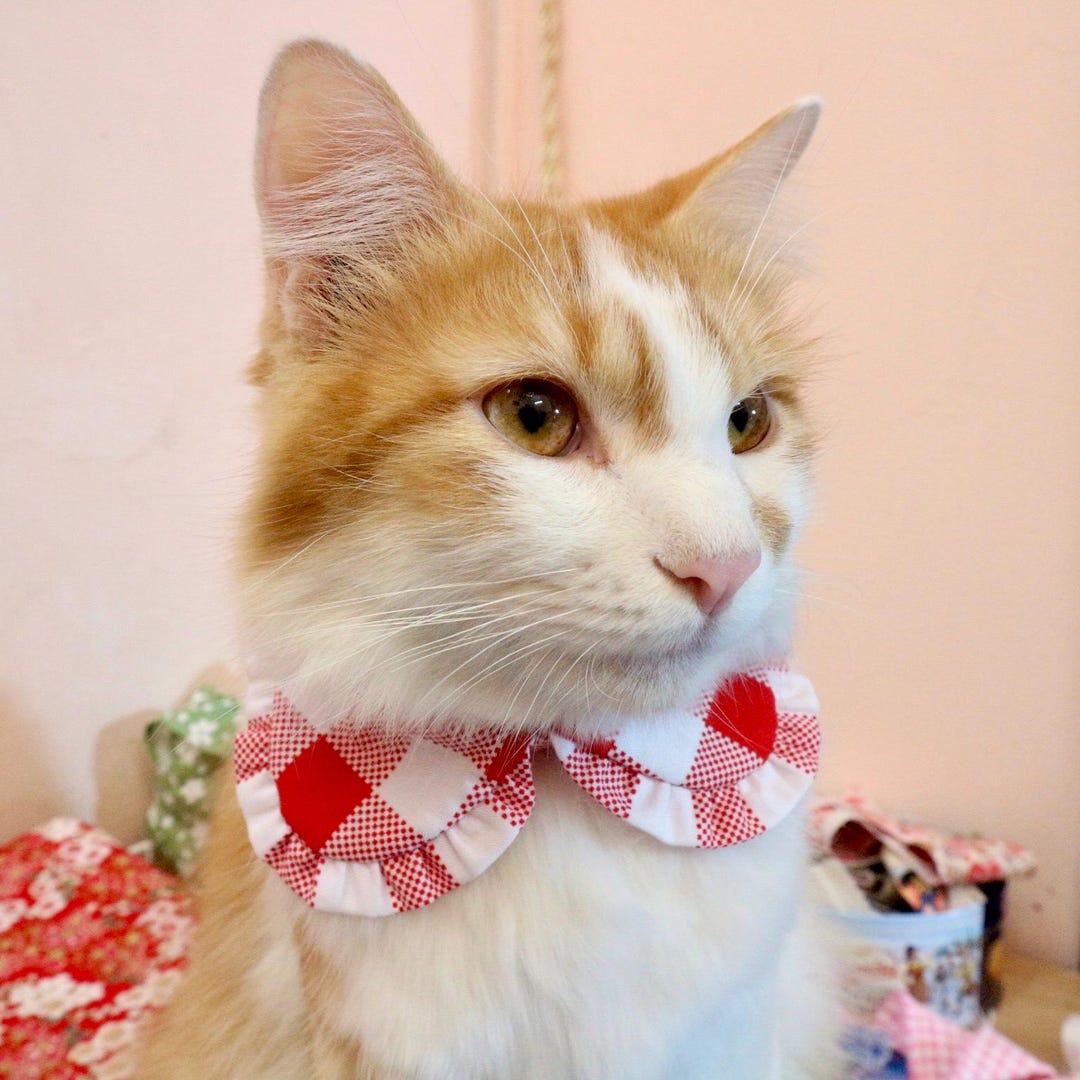 Checked Cat Shirt Collar for Cat, Red Checked Cat Collar, Styled Cat Collar, Cotton ...