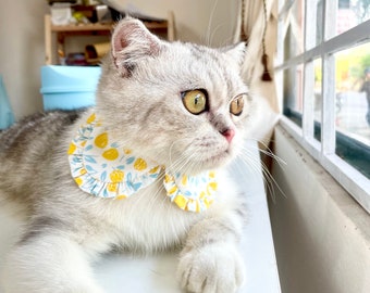 Basic Styled cat collar, Cat Collar, Lemon cat collar, cat collar personalized, collar for cat and dog, Cat gifts, Gift for cat lovers