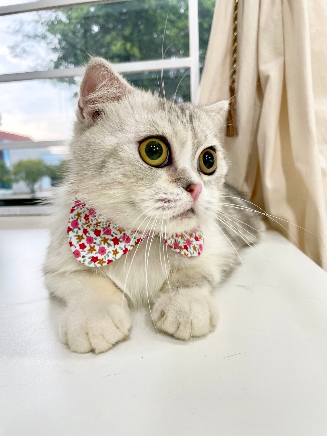 Cat Collar, Shirt Cat Collar, Floral Cat Collar, Tiny Flowers