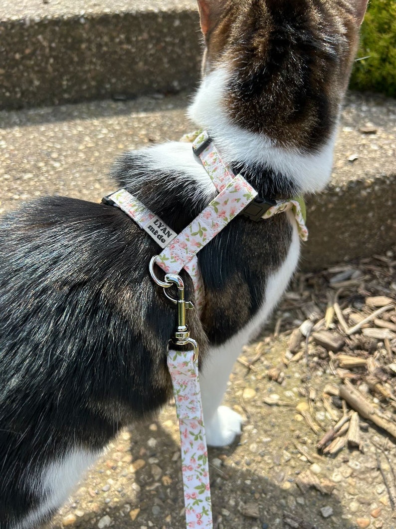 Two-in-one Cute Cat Dog Harness, Green Daisy Flowers Floral Cat ...