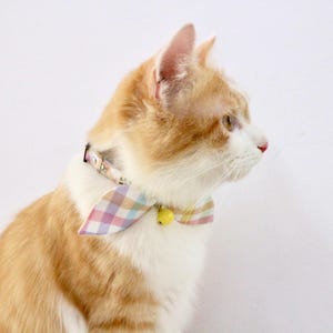 May include: A close-up of a ginger and white cat wearing a pink, yellow and blue plaid bow tie with a bell.