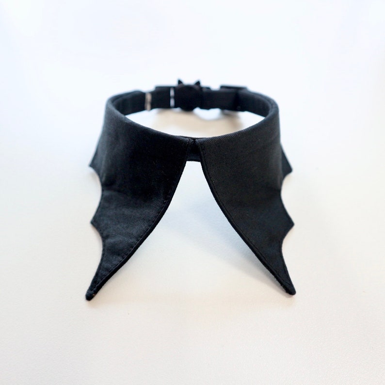 May include: A black collar with bat wing-shaped points. The collar has a buckle closure and is made of a smooth, dark fabric. The design is a unique accessory for costumes or everyday wear.