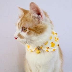 Pode incluir: Um gato branco e laranja usando uma bandana amarela e branca com uma borda de babados e um padrão de patinhos de borracha amarelos. A bandana tem um sino preso.