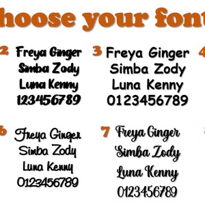 May include: Image displaying font options with the text "Choose your font" in orange. Eight font styles are shown, each with a sample name and numbers. The fonts vary in style, from cursive to bold, and include the numbers 0-9.