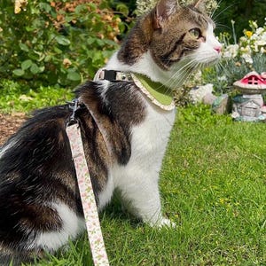 Puede incluir: Un gato atigrado marrón, negro y blanco que lleva un arnés verde claro con un borde con volantes y una correa a juego con un estampado floral rosa y verde. El arnés incluye una hebilla de plástico negro y una anilla en D de metal.